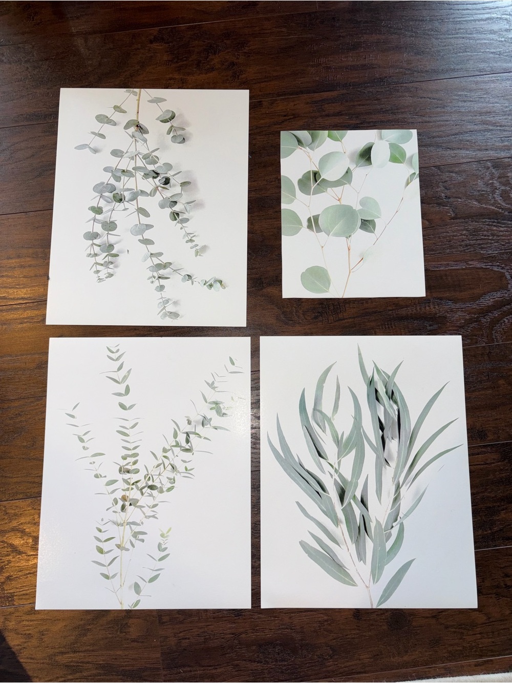 Set of 4 Minimalist Botanical Prints - Sage Green Leaves